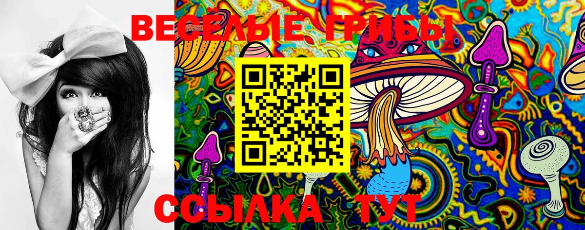 Белогорск  дарнет шоп  Вход с VPN  Псилоцибиновые грибы Magic Shrooms 